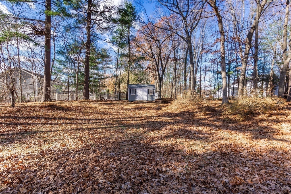 12 Barnstable Road Norfolk, MA 02056 - Photo 21 of 28 Gallery Image 21