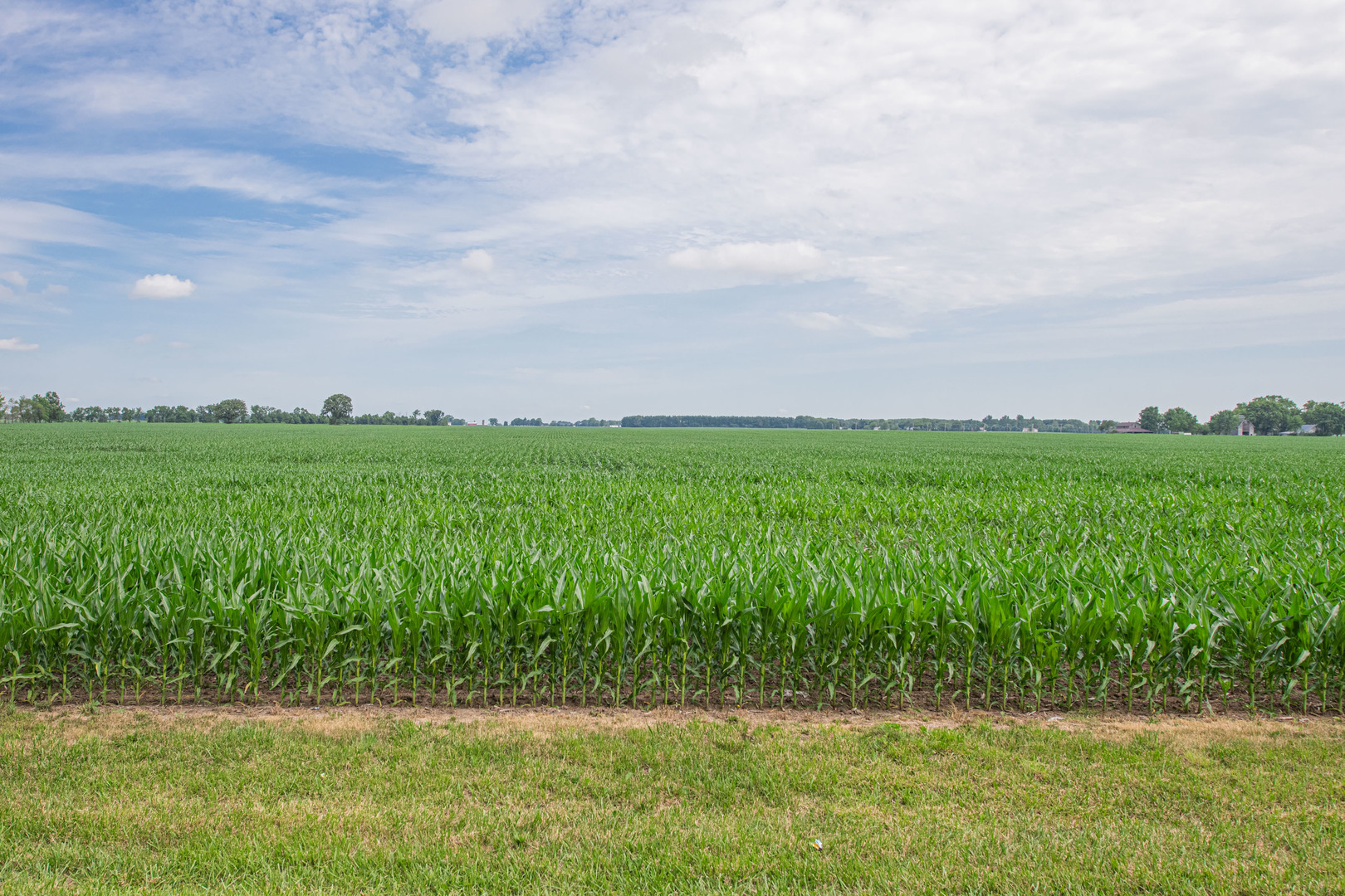 11183 East Fisher Road Rochelle, IL 61068 - Photo 24 of 24
