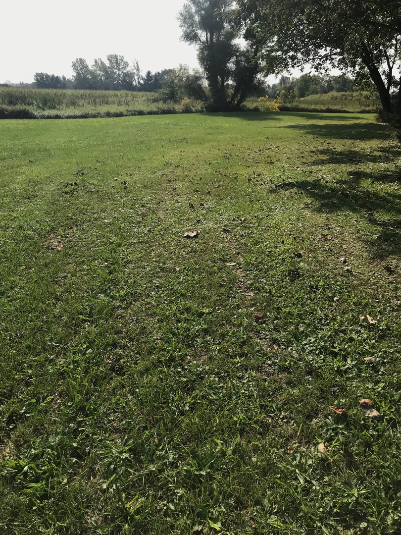 0 South Klemme Road Beecher, IL 60401 - Photo 1 of 6 a view of an ocean from a yard