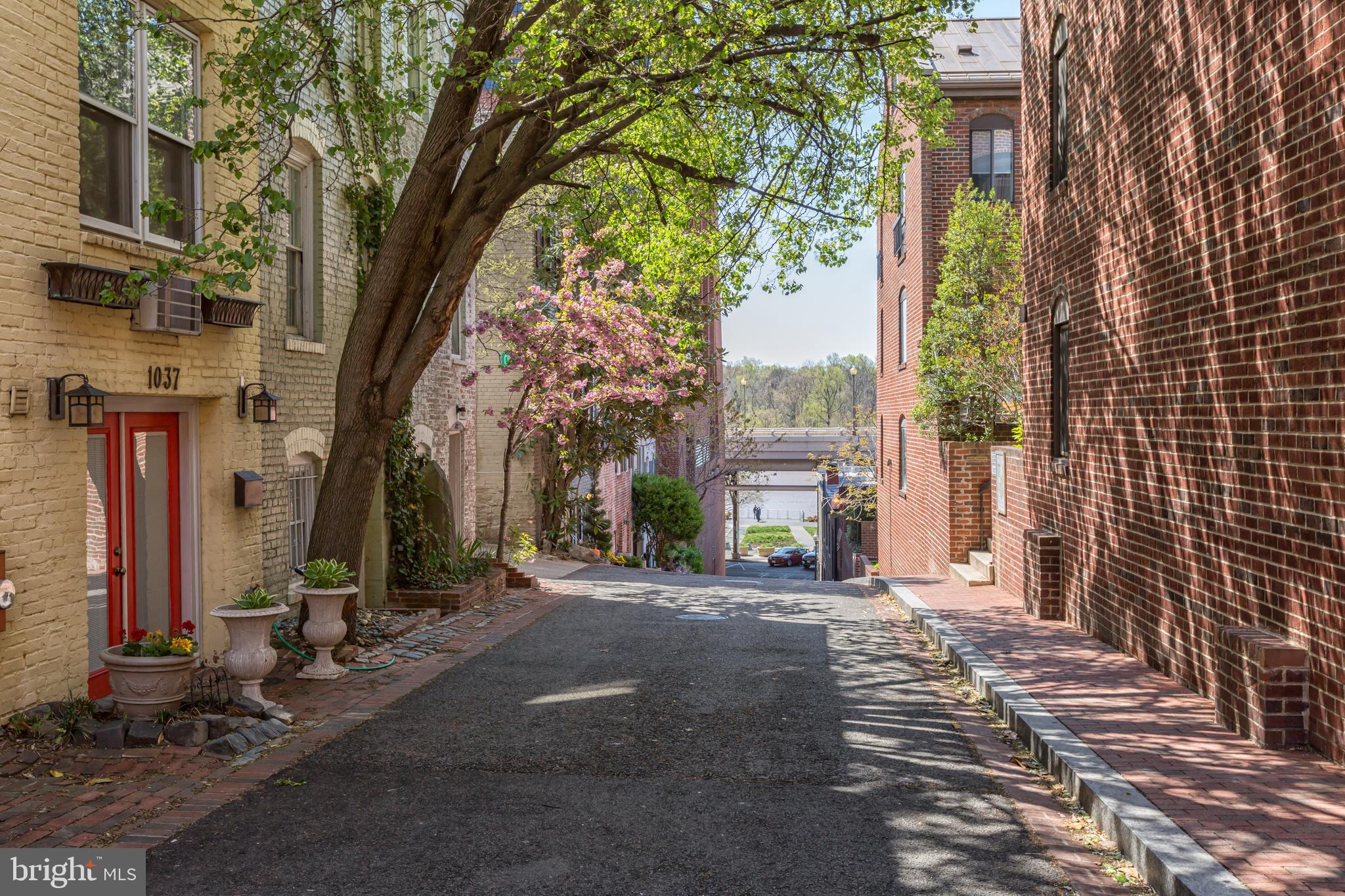 1066 Paper Mill Court, Unit 1066 Washington, DC 20007 - Photo 19 of 25 a view of a road with a tree in front of it