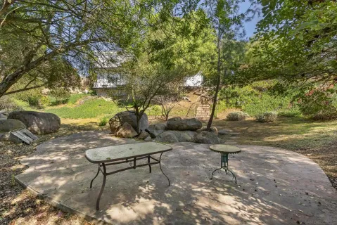 a view of a backyard with plants and outdoor seating