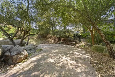 a view of a yard with plants and trees