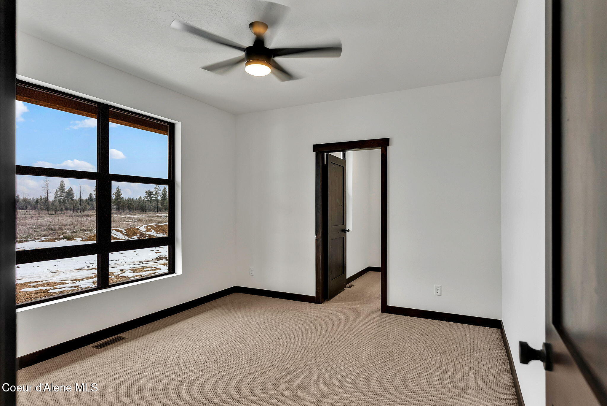 969 Flying Geese Way Blanchard, ID 83804 - Photo 23 of 25 4-web-or-mls-SkyLight - Bentley-28