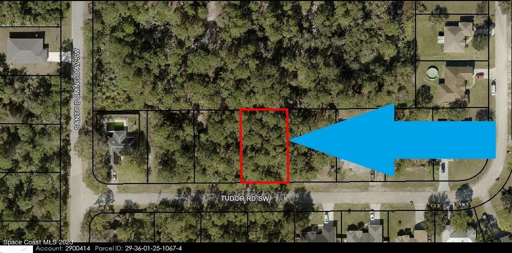 173 Tudor Road Southwest Palm Bay, FL 32908 - Photo 3 of 4 a view of lot of street and green space