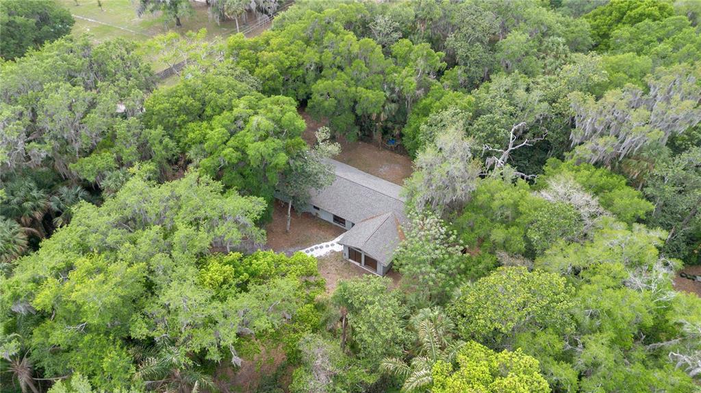 599 Lake Geneva Road Geneva, FL 32732 - Photo 29 of 36