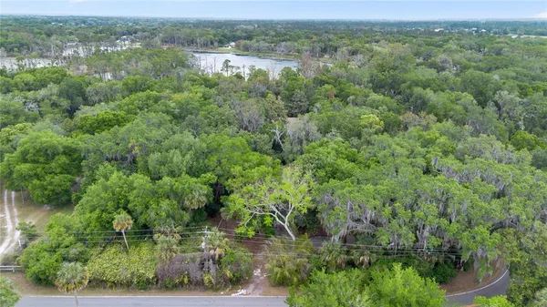 an aerial view of residential houses with outdoor space and trees