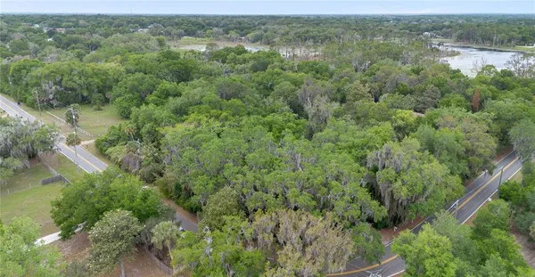an aerial view of forest
