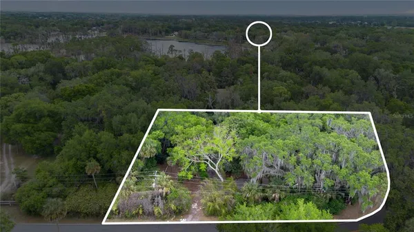 a backyard of a house with lots of green space and plants