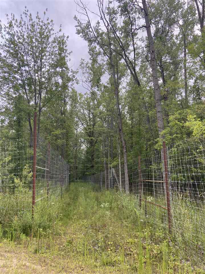 0 North Flajole Road Rhodes, MI 48652 - Photo 12 of 16