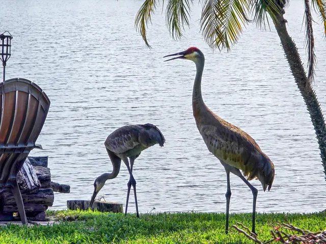 $1,295,000 | 1936 Southwest Wood Duck Lane, Palm City, FL 34990