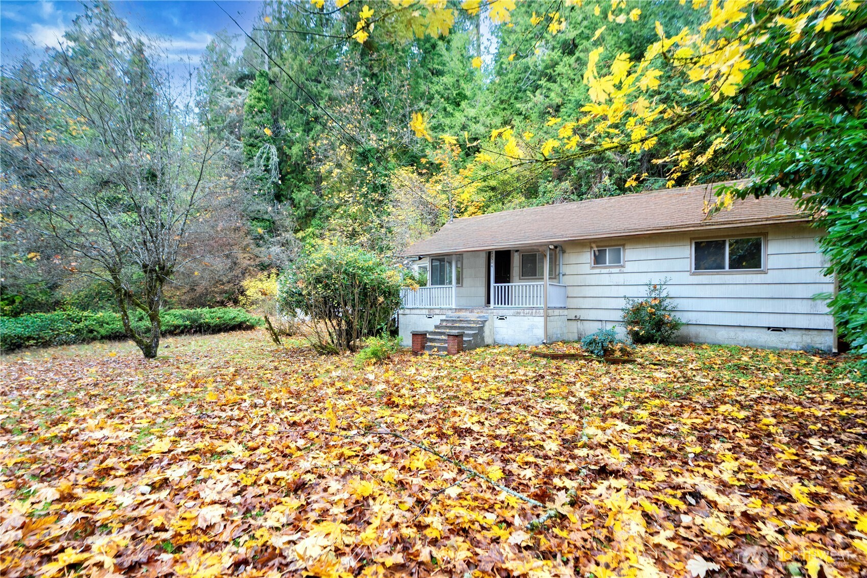 22504 Dorre Don Way Southeast Maple Valley, WA 98038 - Photo 17 of 21 a house with a tree in the background