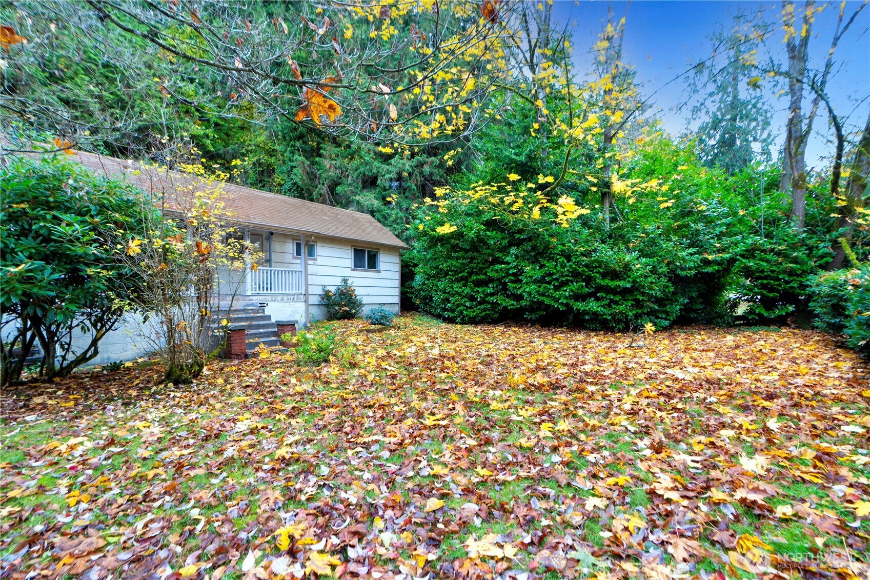 22504 Dorre Don Way Southeast Maple Valley, WA 98038 - Photo 18 of 21 a backyard of a house with lots of green space