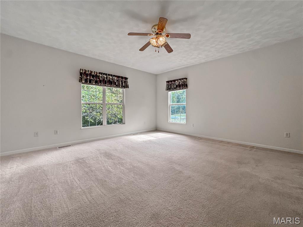 3707 Clover Dell Lane Waterloo, IL 62298 - Photo 26 of 58