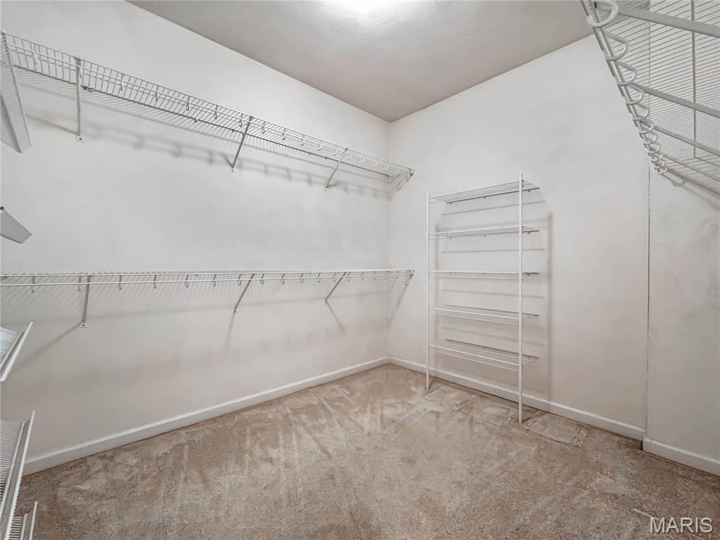 3707 Clover Dell Lane Waterloo, IL 62298 - Photo 31 of 58