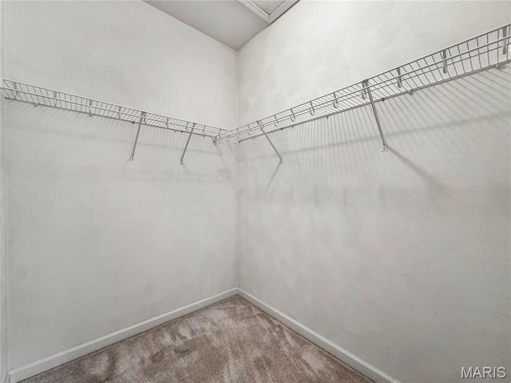 3707 Clover Dell Lane Waterloo, IL 62298 - Photo 39 of 58