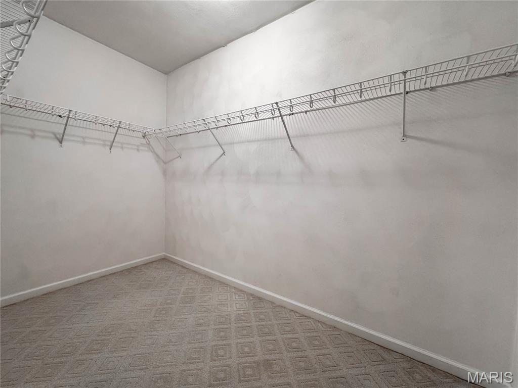 3707 Clover Dell Lane Waterloo, IL 62298 - Photo 48 of 58