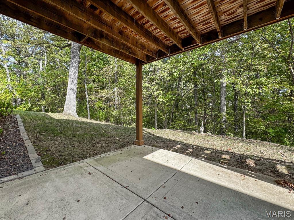 3707 Clover Dell Lane Waterloo, IL 62298 - Photo 52 of 58