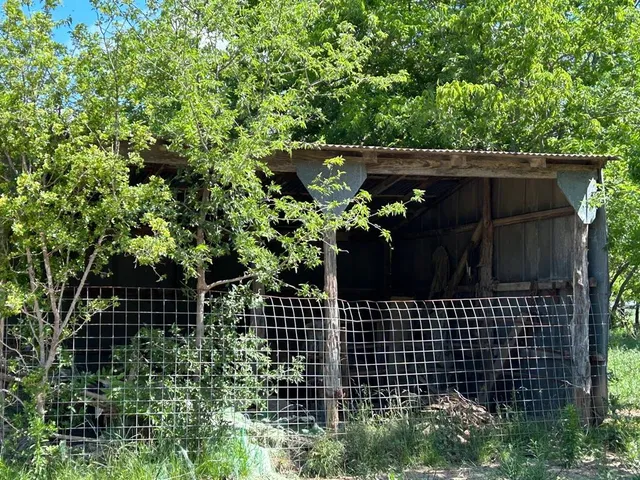 a view of a yard with an trees