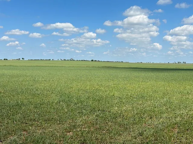 a view of an ocean and a yard
