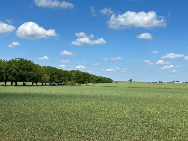 a view of a street view with houses in back