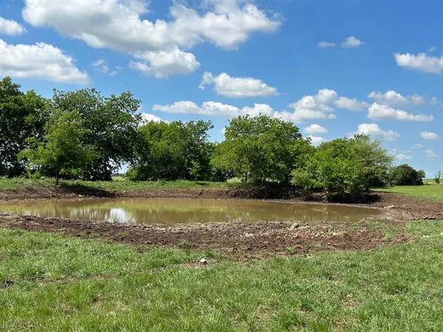 a view of a field of grass and trees