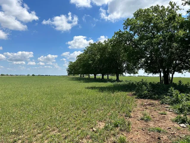 a view of yard with green space