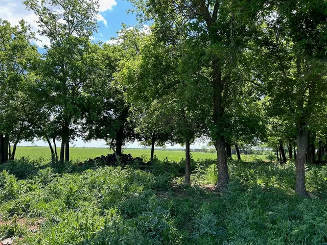 a backyard of a house with lots of green space and fountain