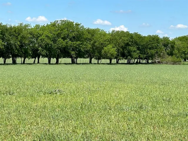 a view of a big yard with table and chairs