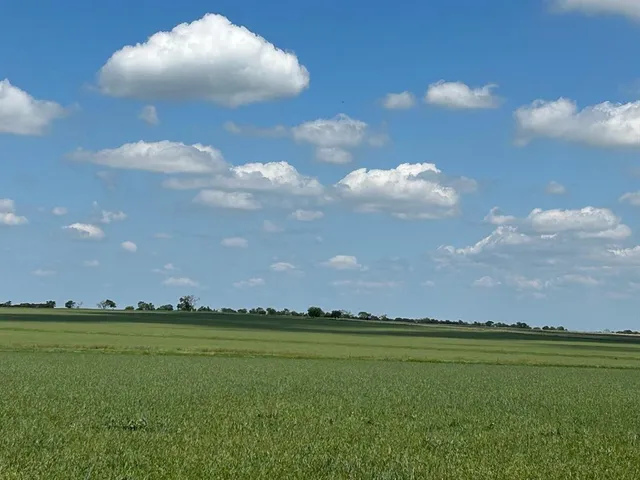 a view of green field with trees in the background