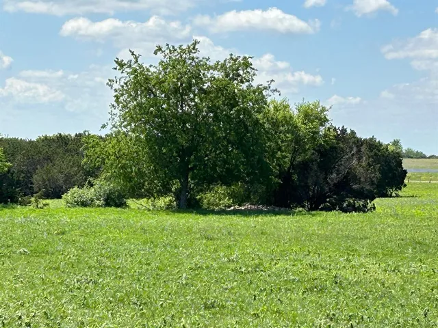 a view of a field with mountains in the background