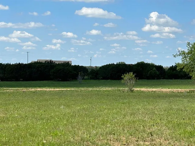 a view of a field with a tree