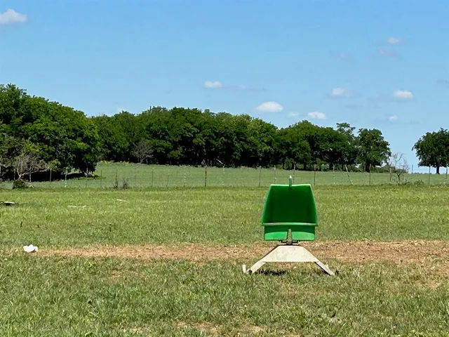 a view of a big yard with a large trees