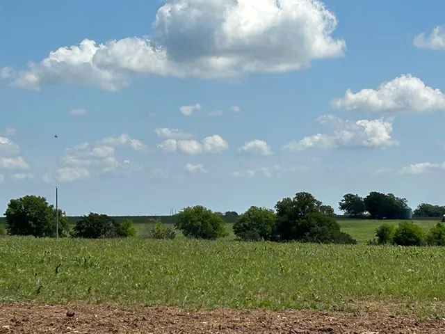 a view of a field with a tree in the background