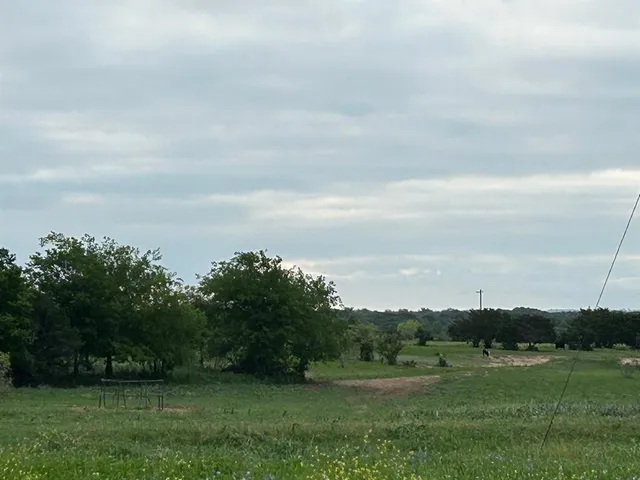 a black and white photo of a garden