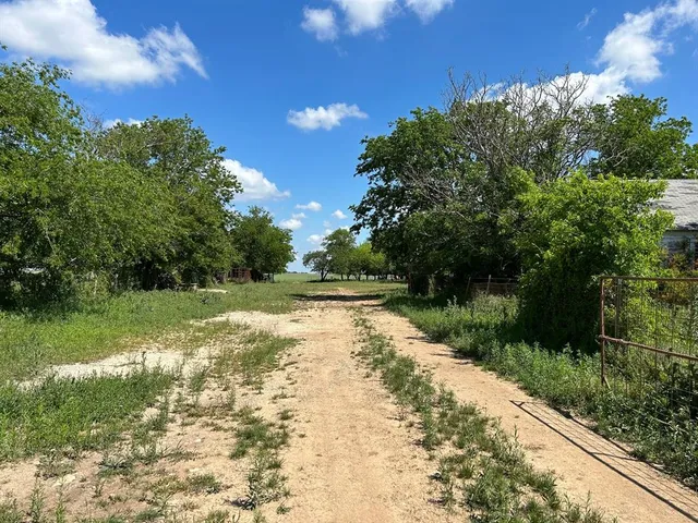 a view of backyard with green space