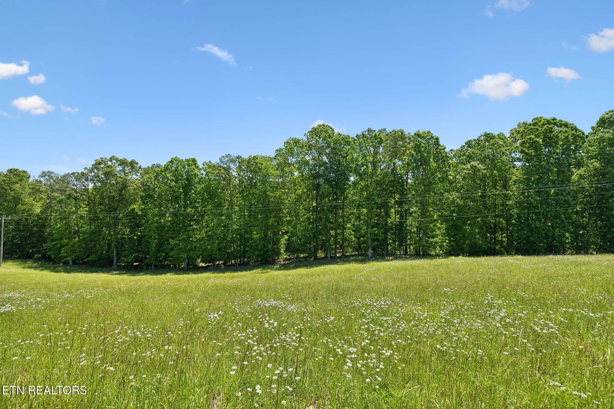 1460 Big Neck Road Grandview, TN 37337 - Photo 9 of 32 Rolling Fields