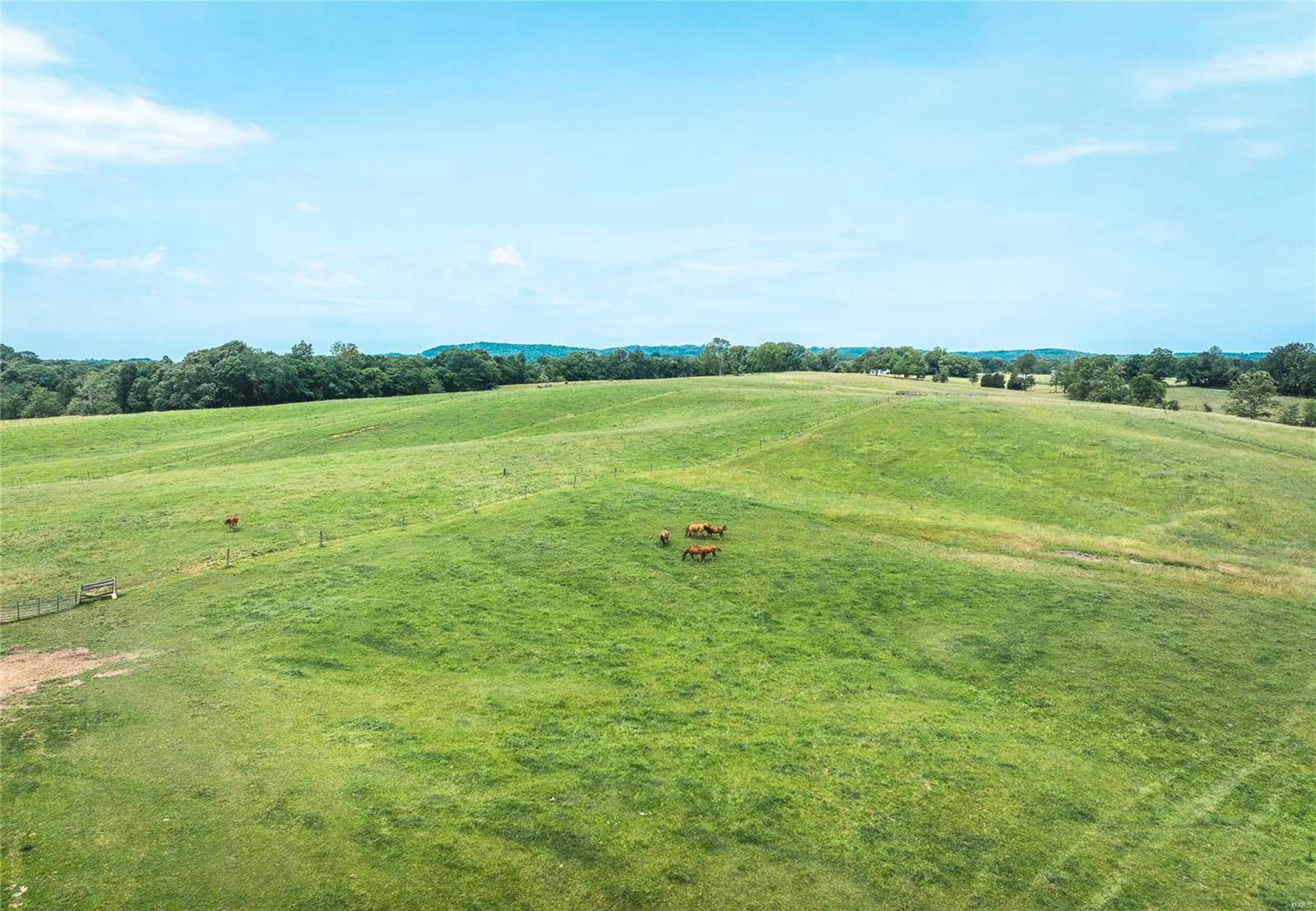 3155 New Saratoga Road Anna, IL 62906 - Photo 21 of 63