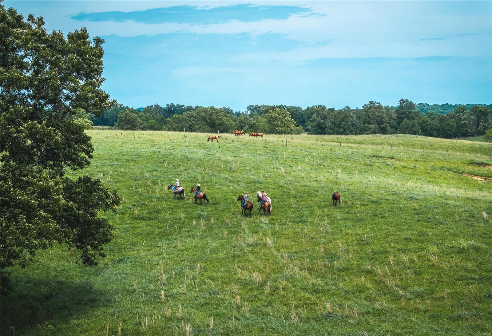 3155 New Saratoga Road Anna, IL 62906 - Photo 24 of 63