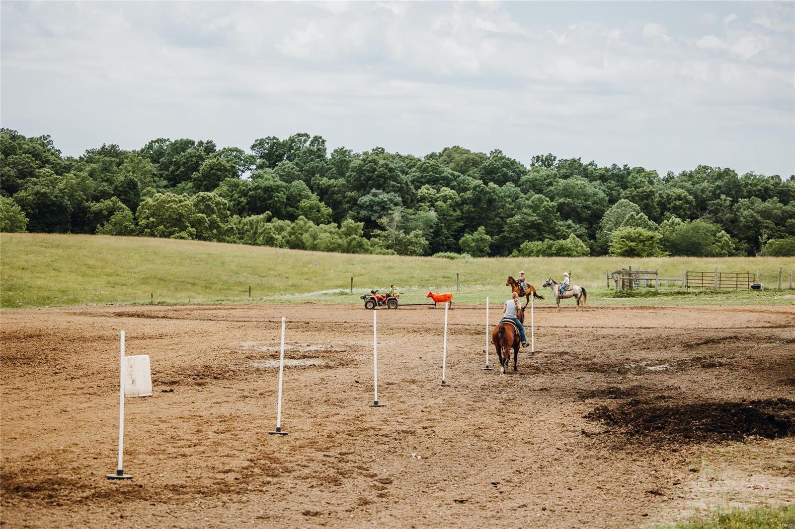 3155 New Saratoga Road Anna, IL 62906 - Photo 60 of 63