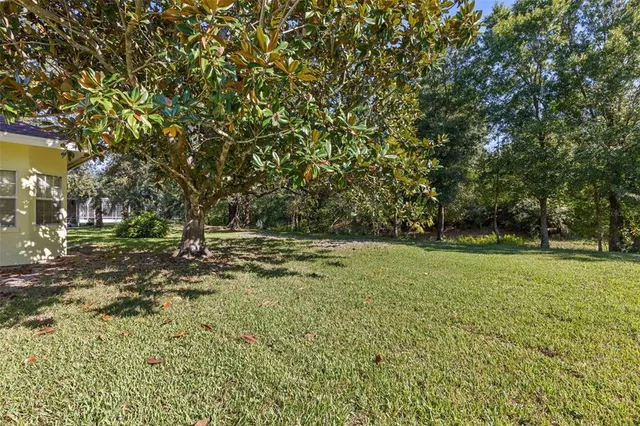 a backyard of a house with lots of green space