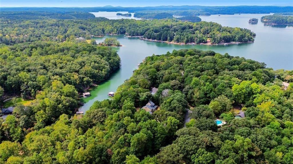 3680 Lamplighters Cove Road Gainesville, GA 30504 - Photo 8 of 88 an aerial view of a houses with outdoor space and lake view