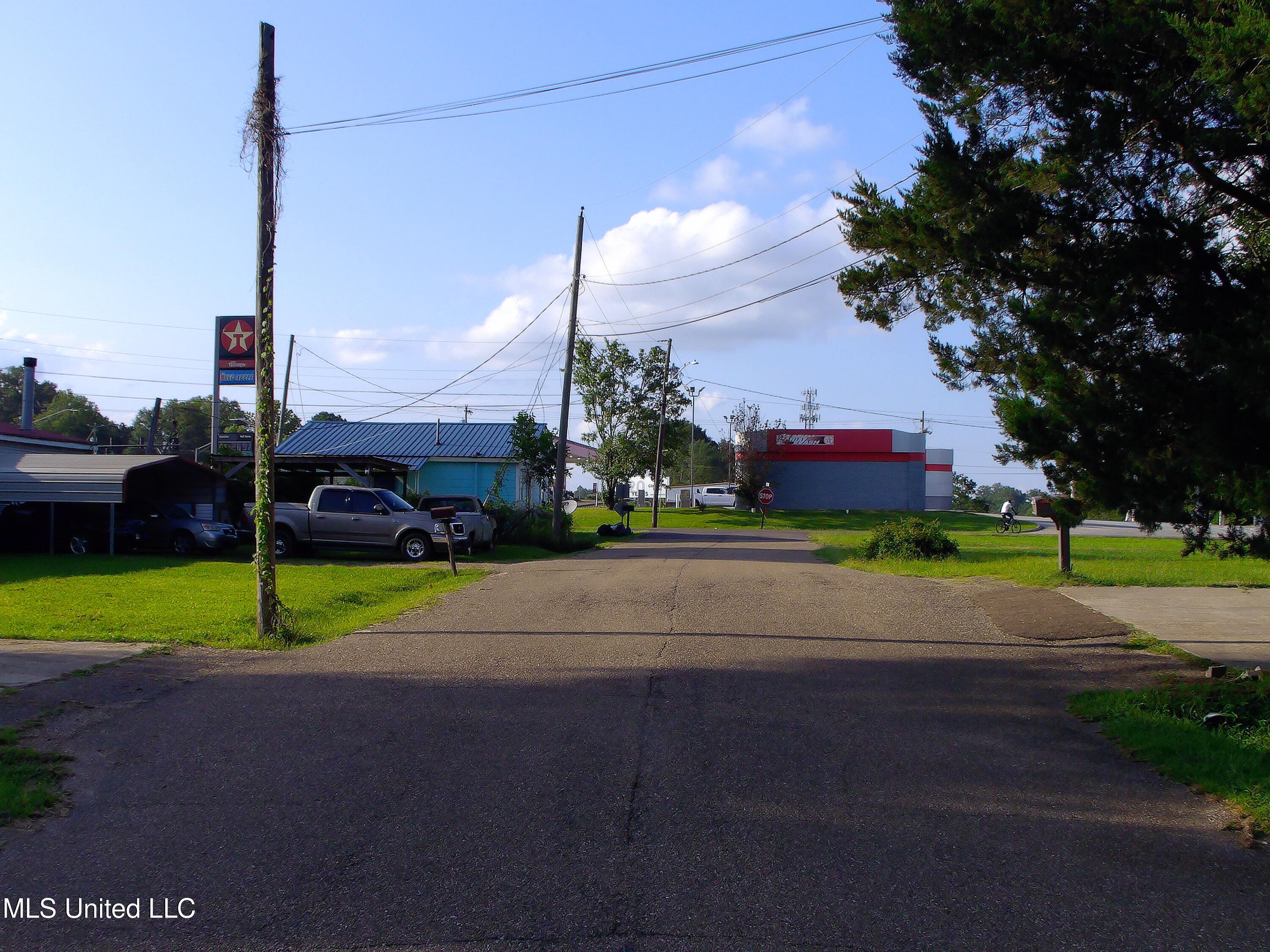 Southwest Street Forest, MS 39074 - Photo 3 of 3 Street