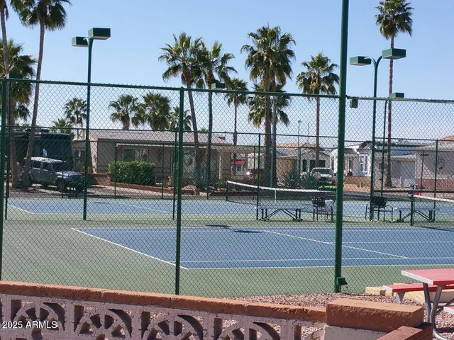 a view of swimming pool with a yard and palm tree