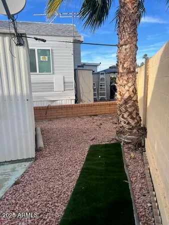 a view of a yard with plants