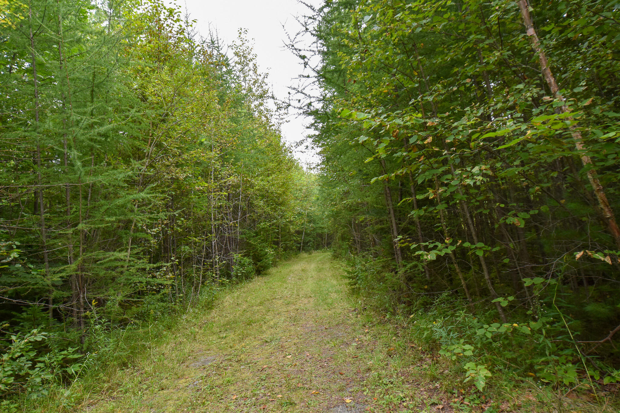 3 Kolm Lane Sebec, ME 04481 - Photo 4 of 12 DSC_0575