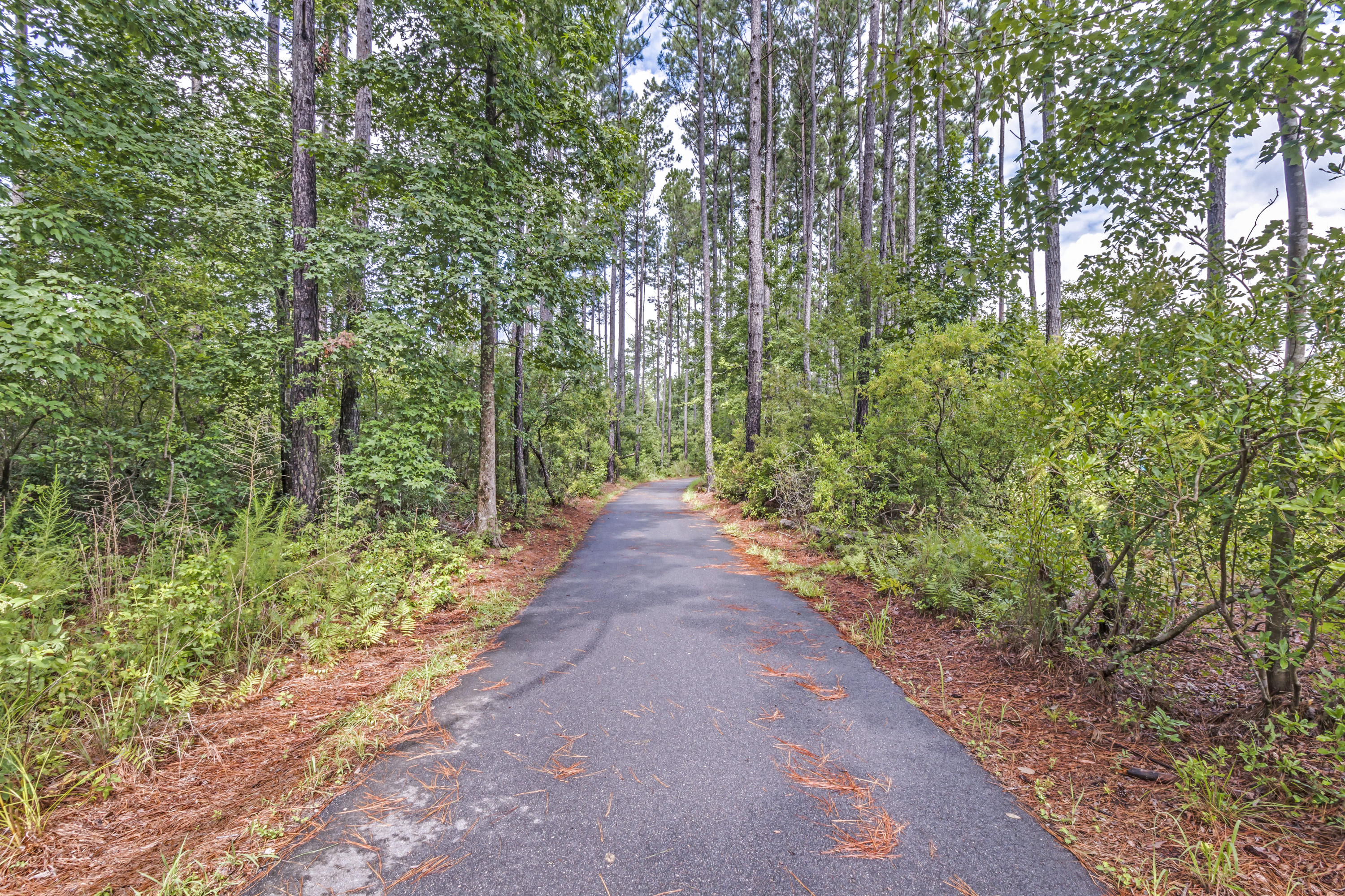 351 Spectrum Road Summerville, SC 29486 - Photo 28 of 32 31