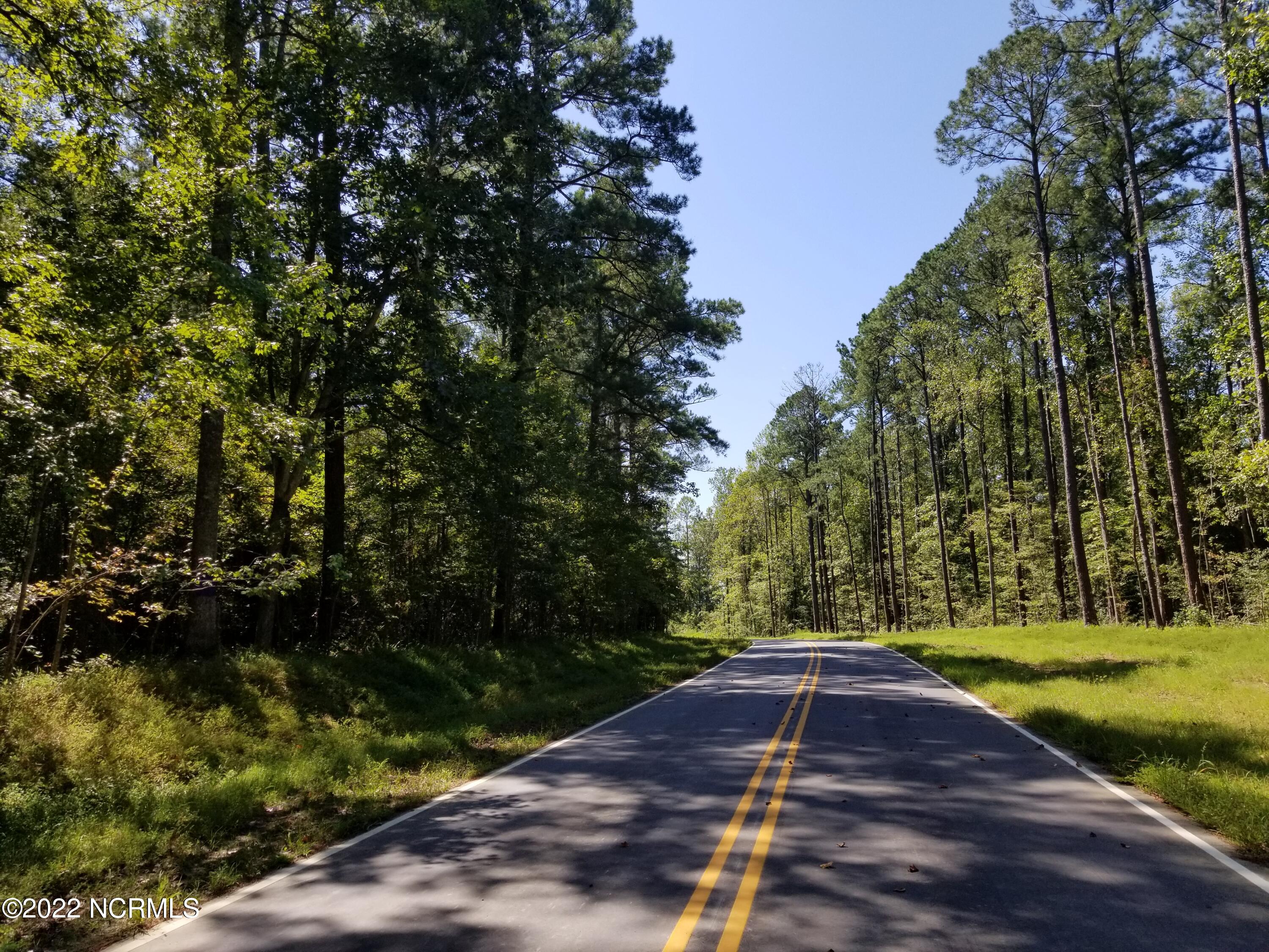 1018 Red Drum Way New Bern, NC 28562 - Photo 5 of 11 4