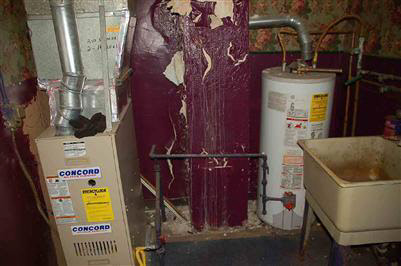 4340 Springfield Street Burton, MI 48509 - Photo 9 of 9 20117351-8.JPG