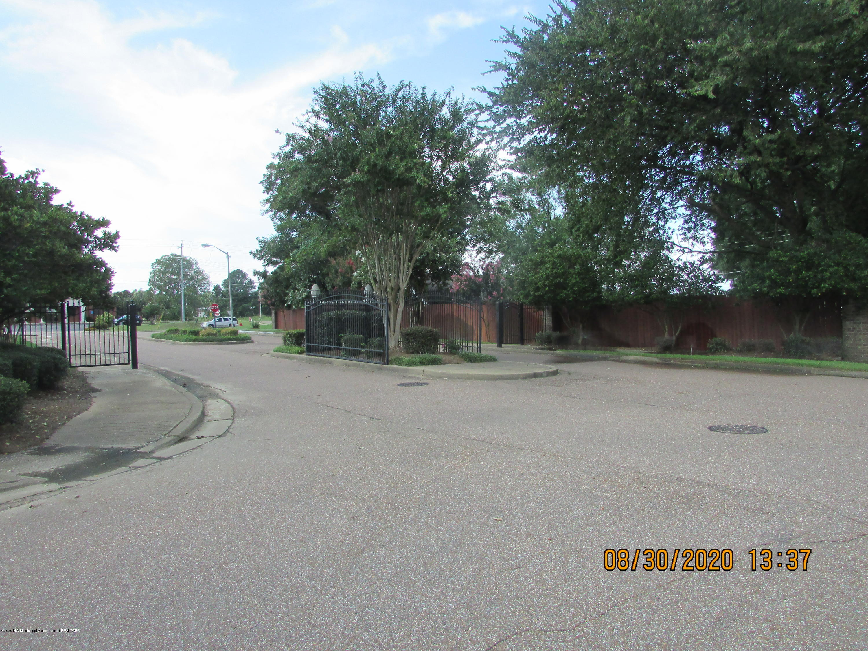 9077 Rue Orleans Lane Olive Branch, MS 38654 - Photo 11 of 50 Street Scene