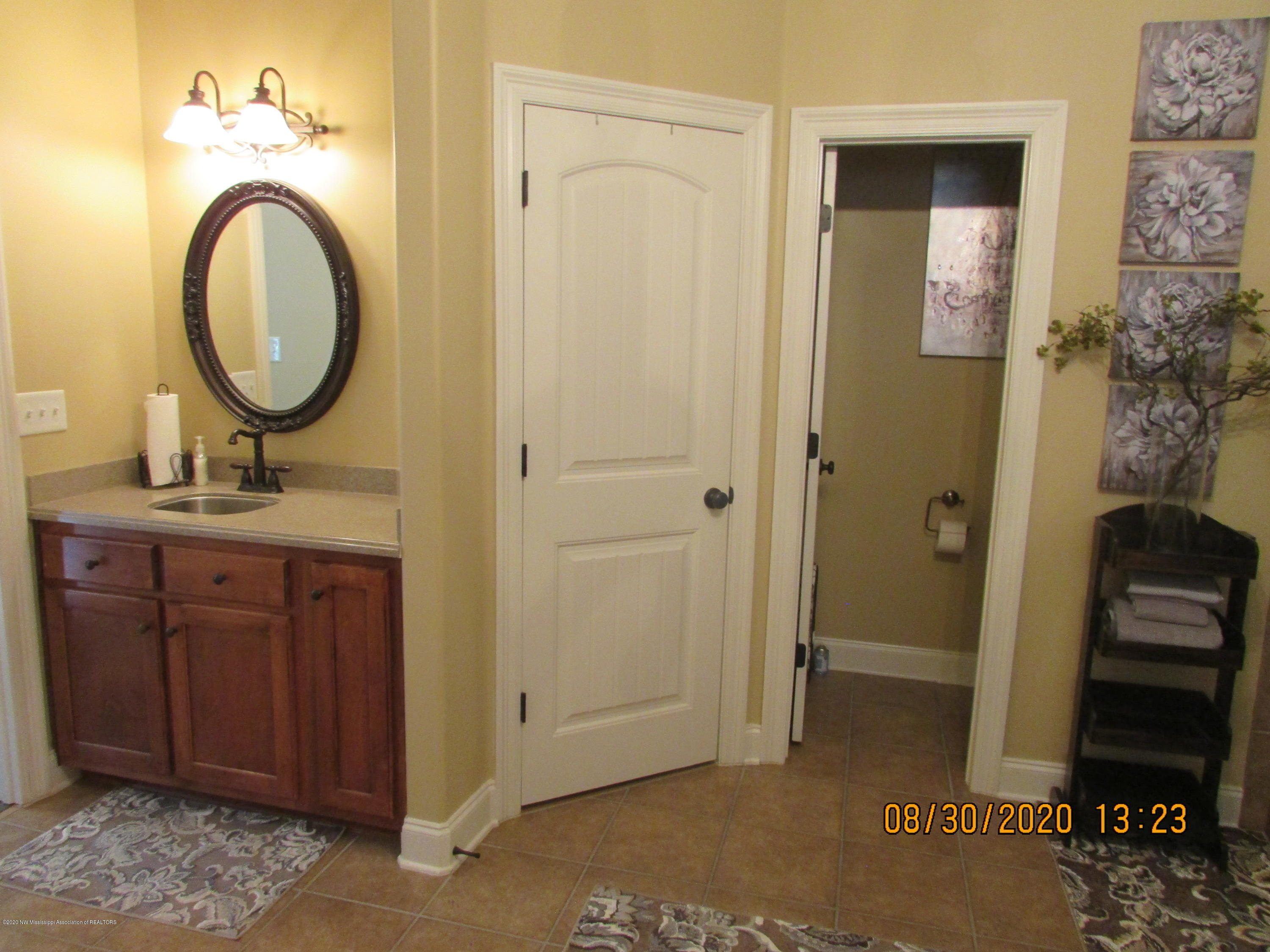 9077 Rue Orleans Lane Olive Branch, MS 38654 - Photo 37 of 50 Master Bath Down (3)